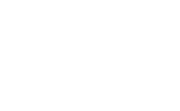 NDF logo simplified