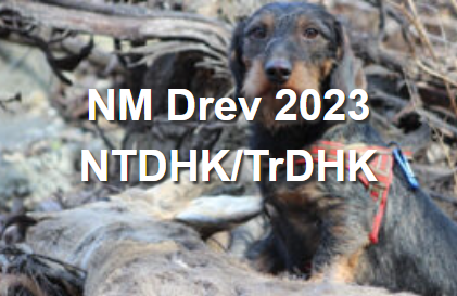 NM Drev 2023
