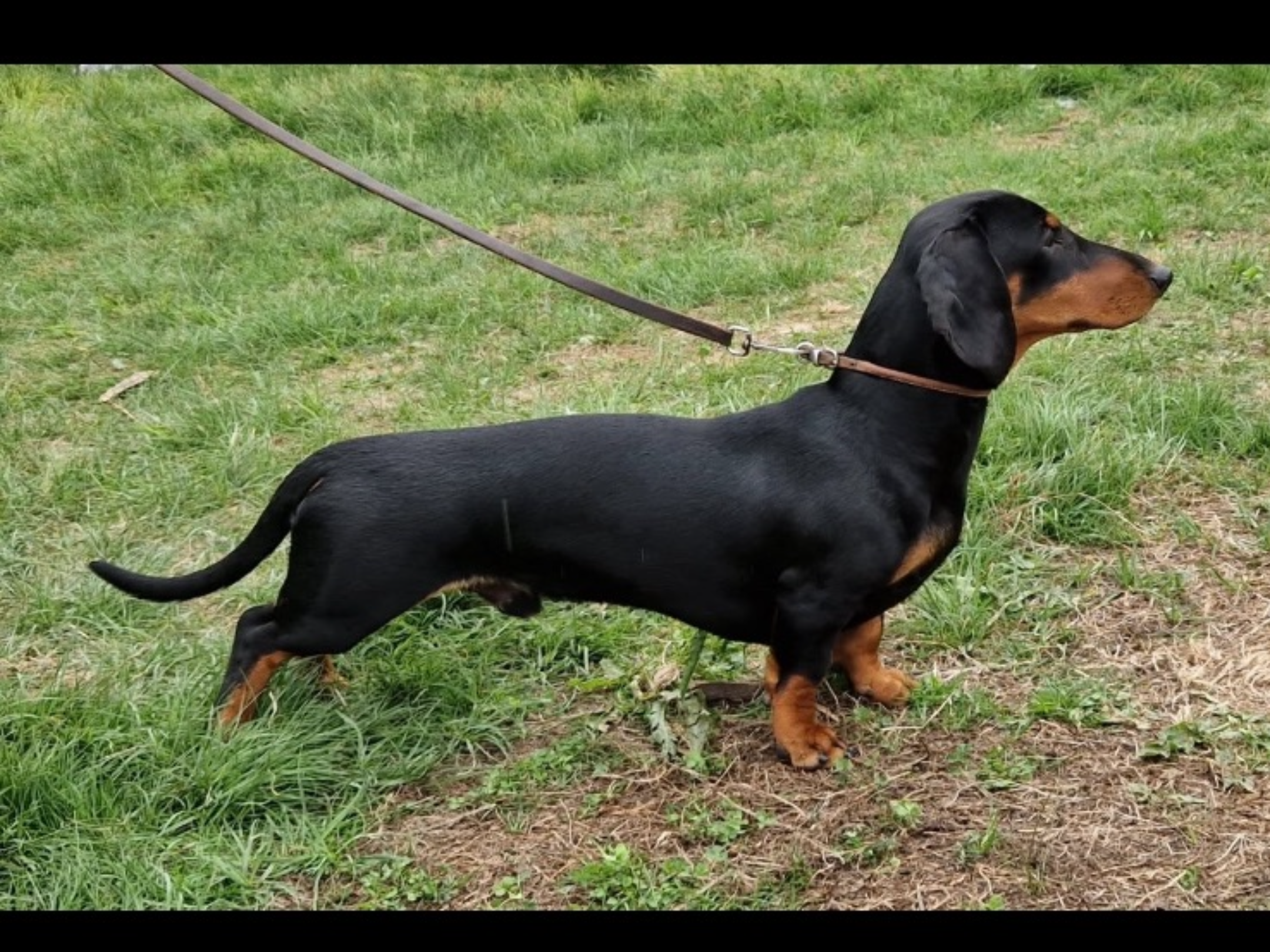 PKRIV Grot Bartoszowa Zlaja